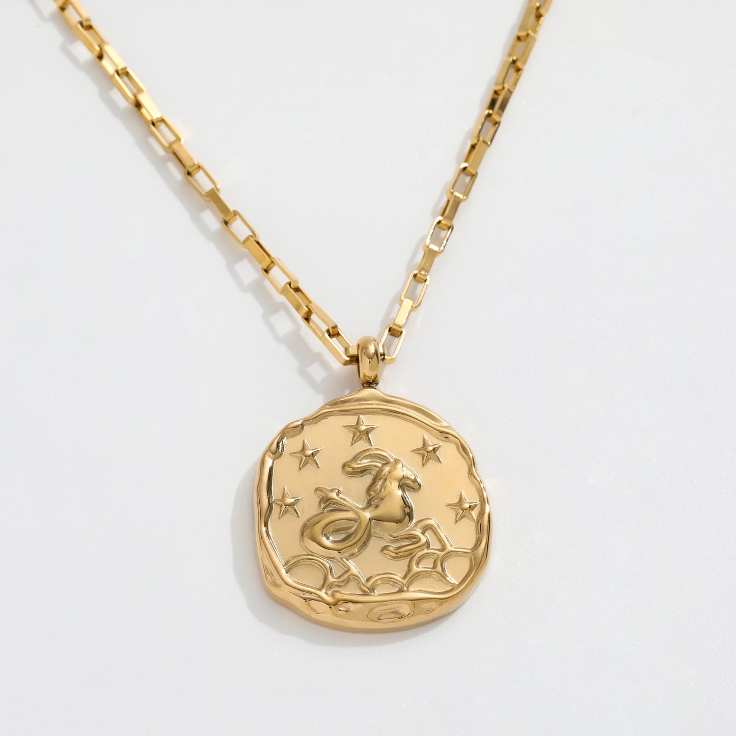 Capricornus Zodiac Chain Necklace
